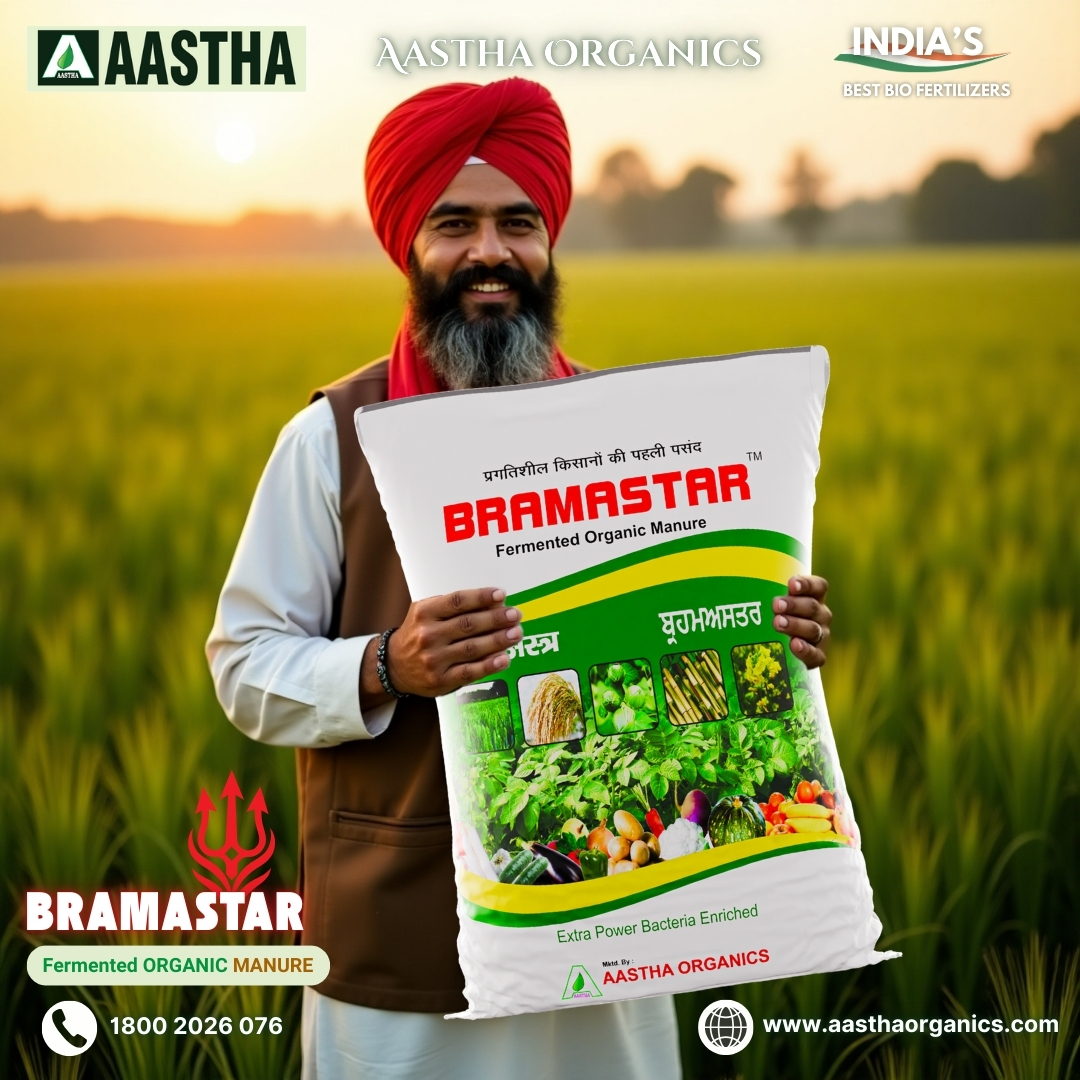 Best Bio Fertilizers of India Bramastra organic manure  